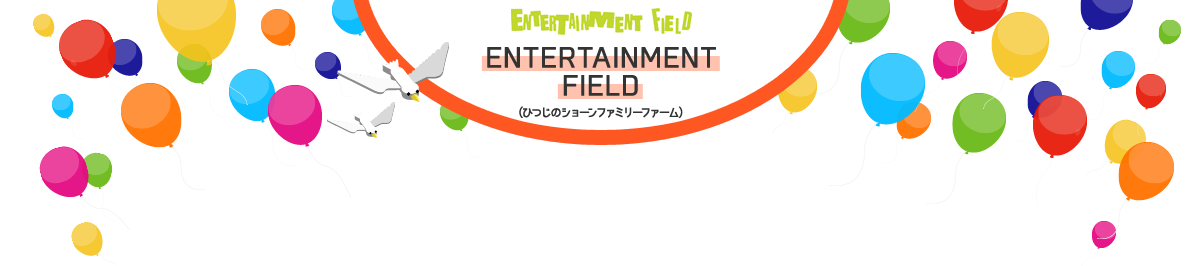 ENTERTAINMENT FIELD