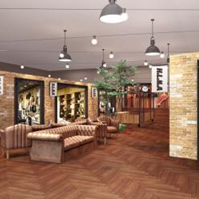 H.L.N.A ZONE(エイチ・エル・エヌ・エー ゾーン)